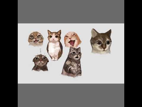meme cat #cute #art #drawing