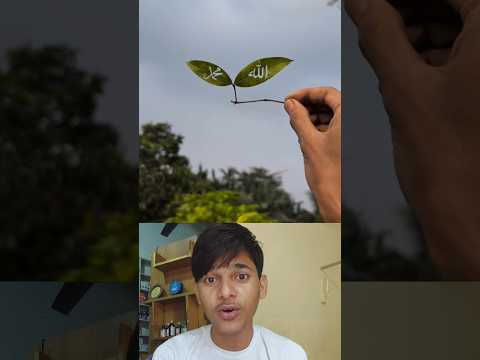 Allah Or Mohammad #islam #trending #shortvideo