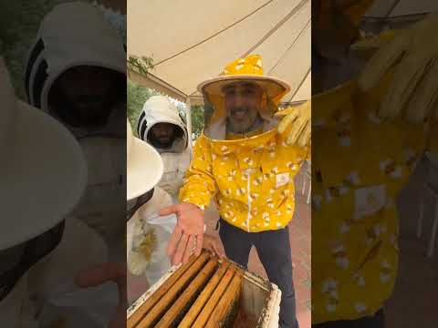 النحل مقرصنيش 😱 الفيديو كامل اول تعليق