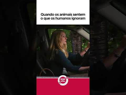 Quando os animais sentem o que os humanos ignoram