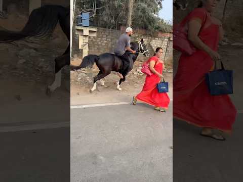 #alhamdulillah horse ๐ ๐#lover #shorts