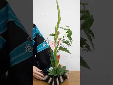 【花*ASMR#3】グラジオラスをスタイリッシュに
