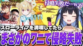 スローライフゲーム「Dinkum」で島を侵略するも、ワニに敗北するよいち達　【とおこ/鈴木ノリアキ/乾伸一郎】