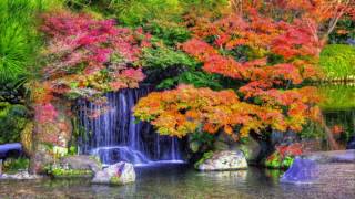 Momiji-Japangarten-Kokoen-Himeji
