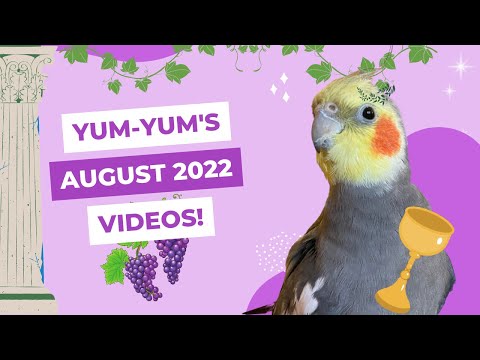 YumYum’s August Videos