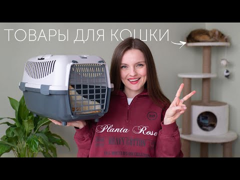 ЧТО Я КУПИЛА КОШКЕ ЗА ГОД: нужно ли это? Обзор товаров для питомца