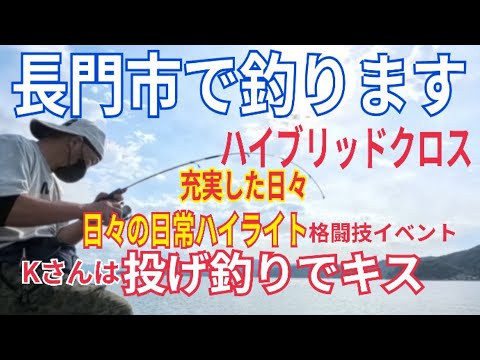 こんなに釣れるの？ジグヘッドにハイブリッドクロス 他 【山口県長門市で釣り】
