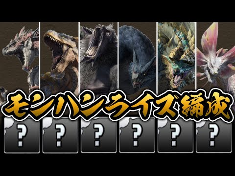 【MHRise】モンハンライズに登場するモンスターでチーム編成してみた結果…【パズドラ】