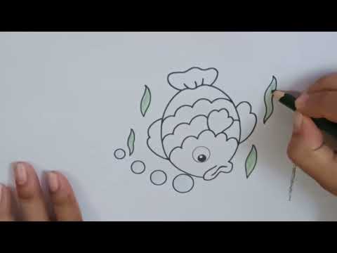 aqueriam fish drawing and color   মাছ আকা কালার