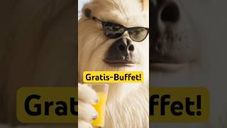 Wenn das Gratis-Frühstück im Hotel ein bisschen zu gut war… 🦛🍌