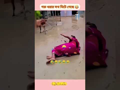 dj alamgir π§ dj antu π» Dj Akter πΆ d.j manik π§ Dj gan πΆ Dj Akter King π§ Dj song π Dj s gobindo #dj#dj