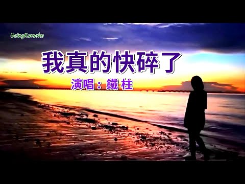 我真的快碎了(這一年忙什麼) 鐵柱-演唱 KARAOKE