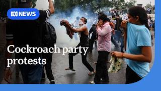 YouTube video thumbnail: Police Fire Tear Gas and Charge on Delhi Protesters