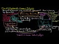 US Government Structure and Functions