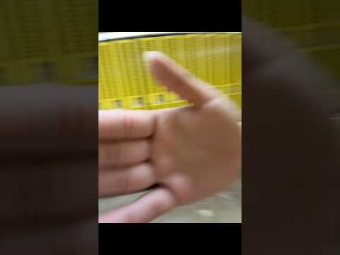 Bestiesss are back!! #blowupthisaccount #4urpage #viral #fypシ゚viral #blowupthisacc #fypyoutube