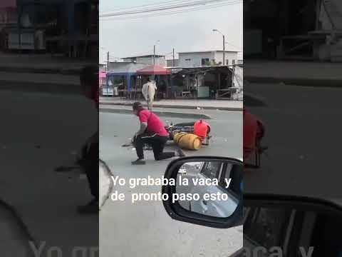 Motociclista atropella a una vaca en plena vía 🏍️🐄
