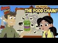Understanding Food Web Dynamics