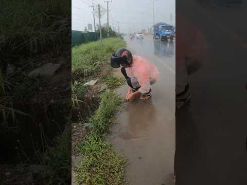 That Importance Clean Culvert For Drain #unclog #clean #drain #shorts
