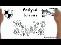 Understanding Physical Barriers and Immune Defense