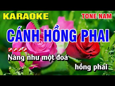 Karaoke Cánh Hồng Phai Tone Nam Nhạc Sống | Nguyễn Linh