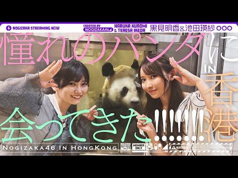 [Hong Kong] "TeresaPanda" Discovers a Real Panda with his Senior Kuromi!