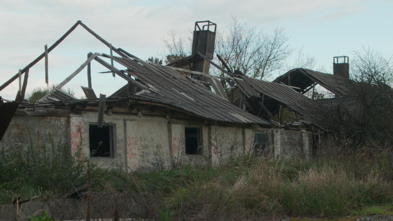 The Babushkas of Chernobyl Anonso santrauka