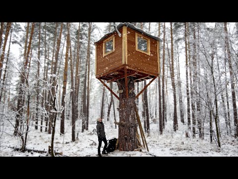 НАШЕЛ ДОМ на ДЕРЕВЕ | ЗАНОЧЕВАЛ и СПРЯТАЛСЯ от МОРОЗА | 24 часа в лесу
