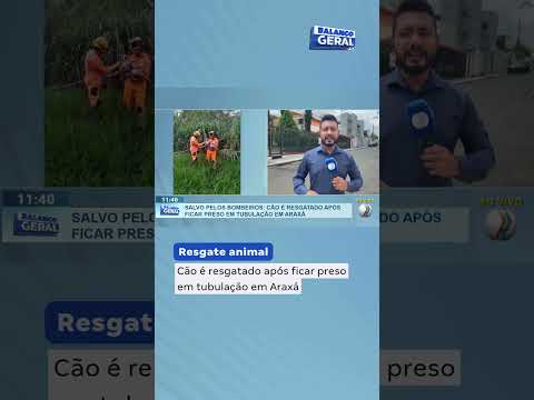 Cão é resgatado após ficar preso em tubulação em Araxá