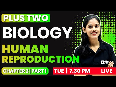 PLUS TWO BIOLOGY | CHAPTER 2 PART 1 | Human Reproduction | EXAM WINNER