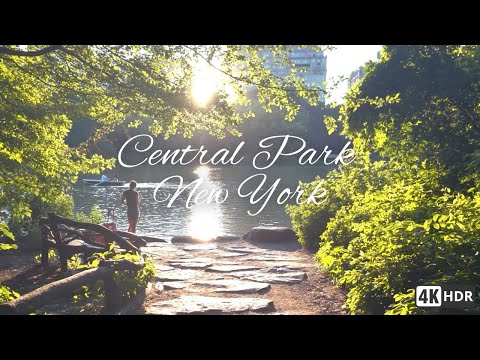 Golden Hour in Central Park 🌳 Relaxing Walk With No Mid-roll ads [4K]