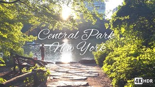 Golden Hour in Central Park 🌳 Relaxing Walk With No Mid-roll ads [4K]