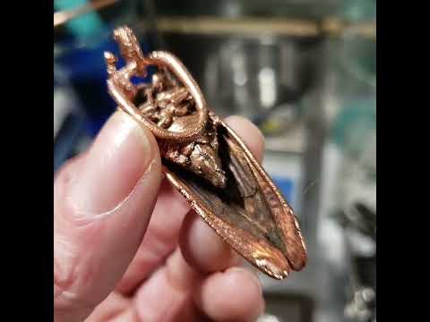 copper electroformed cicada! #other hobbys #cicada 