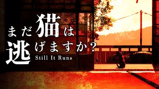 【ホラー】話題作！日本の片田舎にある古い一軒家…一匹の猫として家を探索し隠された真相を探るホラーゲーム『 まだ猫は逃げますか？ 』【Vキャシ