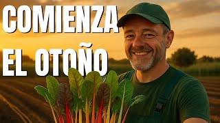 Llega el otoño al huerto: trasplantes y nuevos cultivos a pesar de ser agosto...