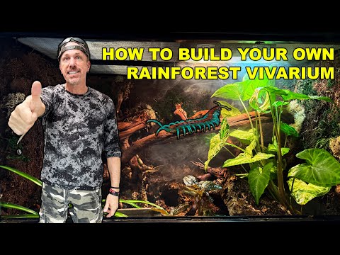 How To Scape a Reptile Cage in 2 Hours!