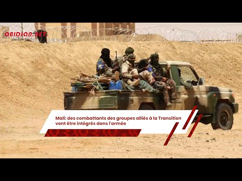 POINT AFRIK du 14 02 2025/ Mali des combattants des groupes alliés à la Transition vont être...