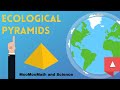 Exploring Ecological Pyramids and Energy Transfer
