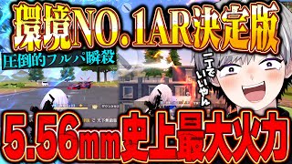 【環境覇者】現環境最も強い5.56武器が一丁で全て破壊できてヤバいww【#荒野行動】