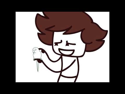 Bird Poop Paradox