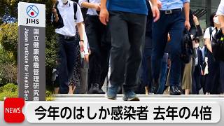 はしか感染者数が累計が479人　去年の4倍　過去10年で最多に迫る勢い