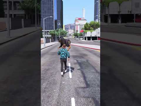 dog teach us love in it's purest form part 1 gta v #gta5 #viral #trending #cartoon #dogs #gta