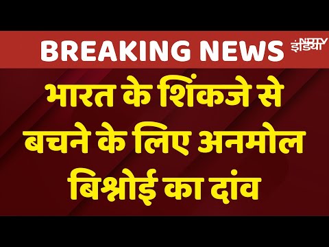 Anmol Bishnoi Areest News: Lawrence Bishnoi के भाई ने अमेरिका में खुद को अरेस्ट करवा कर किया खेला!