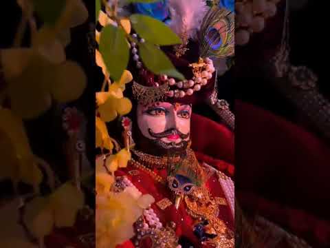 shyam baba status !! khatu shyam status #khatushyamji #khatushyam #shorts #youtubeshorts #viral....