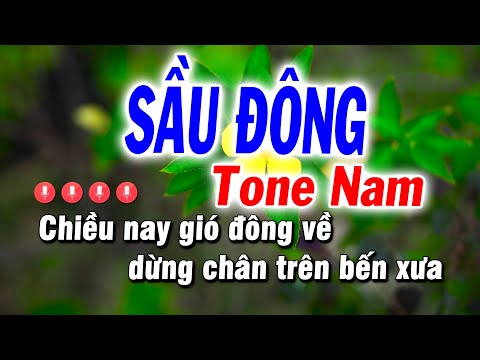 Sầu Đông Karaoke Tone Nanm Nhạc Sống Cha Cha ( Dm ) Karaoke Tuyết Nhi