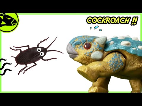 Bumpy's Pet Cockroach
