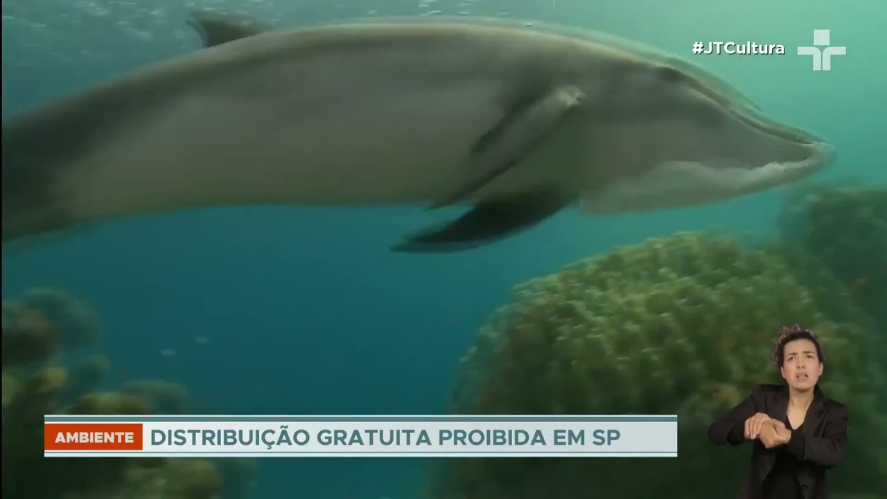 Campanha contra sacolas plásticas ganha destaque nesta data global