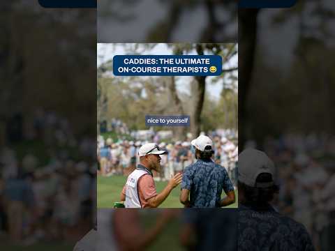 What would we do without them?! 🤝