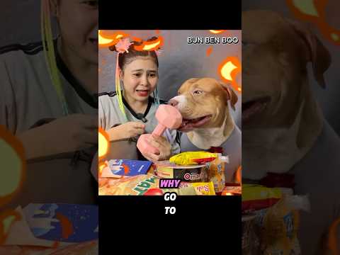 REVIEW Chiếc Cặp Của Ben Ngày Đầu Đến Trường   #bunbenboo #dog #funny #