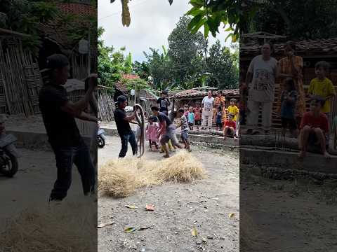 Nyaris Dibakar! Isi Jerami Ini Bikin Semua Orang Lari 😱🔥#shortsfeed #shortvideo #snake