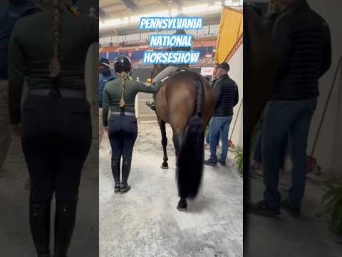 First class is set in Harrisburg! Let’s go! #equestrianjourney #equestrian #horseworld #horsegirls